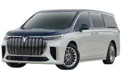 2D коврики EVA в салон и багажник на Voyah Dream (2021-н.в)